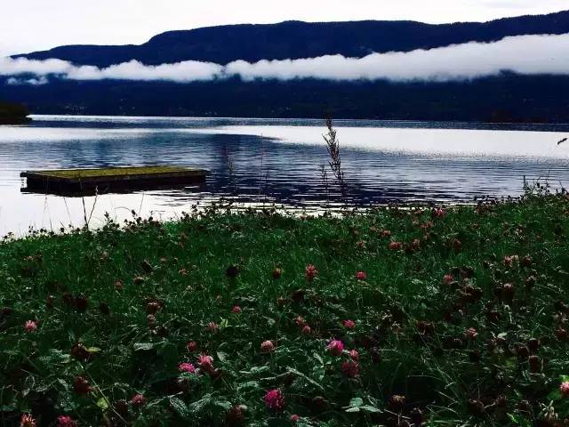 33.webp.jpg 爱丫爱丫影院