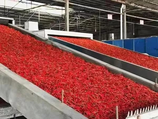 7.webp.jpg 爱丫爱丫影院